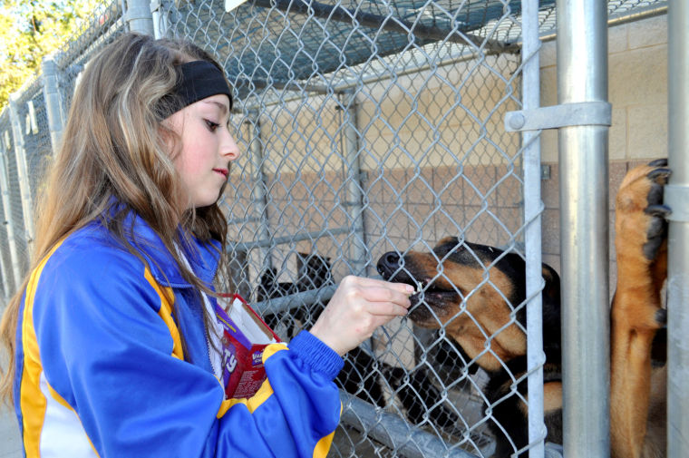 Copperettes shelter visit